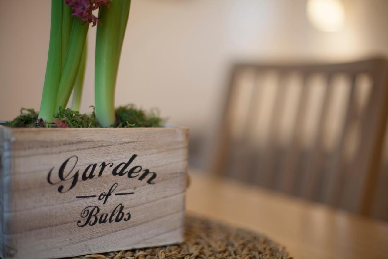 Luxury Suites Riverside Residence By Rikas Hotels Antwerpen Exteriör bild